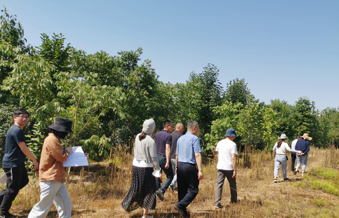 名邦地产集团常务副总裁李宽洲等领导一行 莅临苗圃基地调研指导
